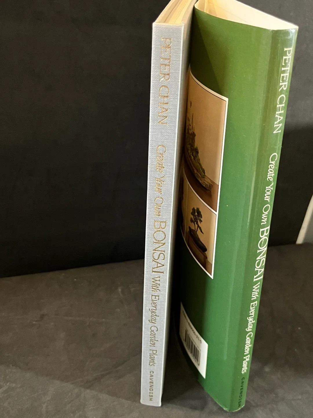 Create Your Own Bonsai Book by Peter Chan image indicator(6)