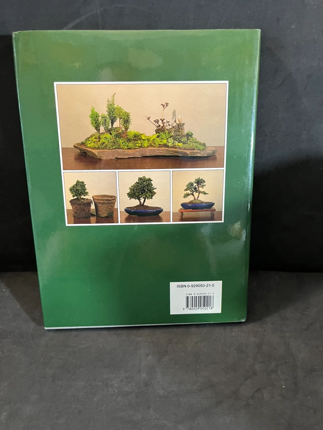Create Your Own Bonsai Book by Peter Chan image indicator(2)