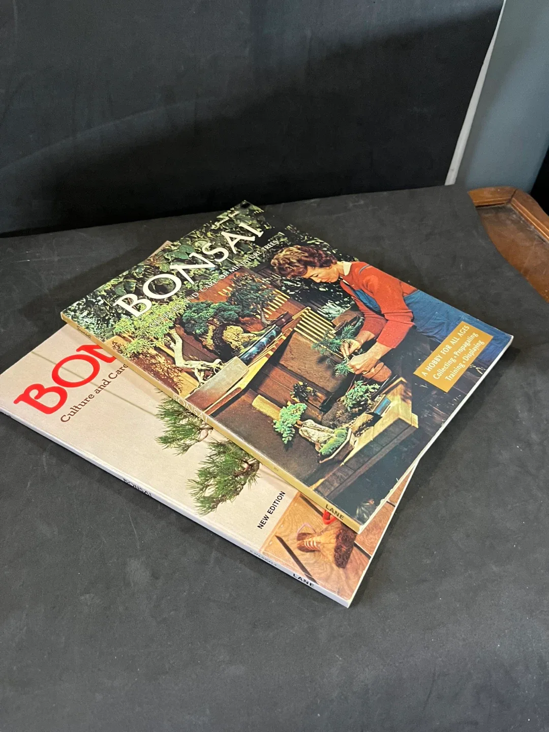 Bonsai Culture and Care of Miniature Trees Books image indicator(5)