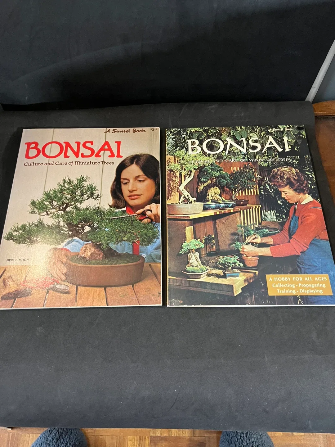 Bonsai Culture and Care of Miniature Trees Books