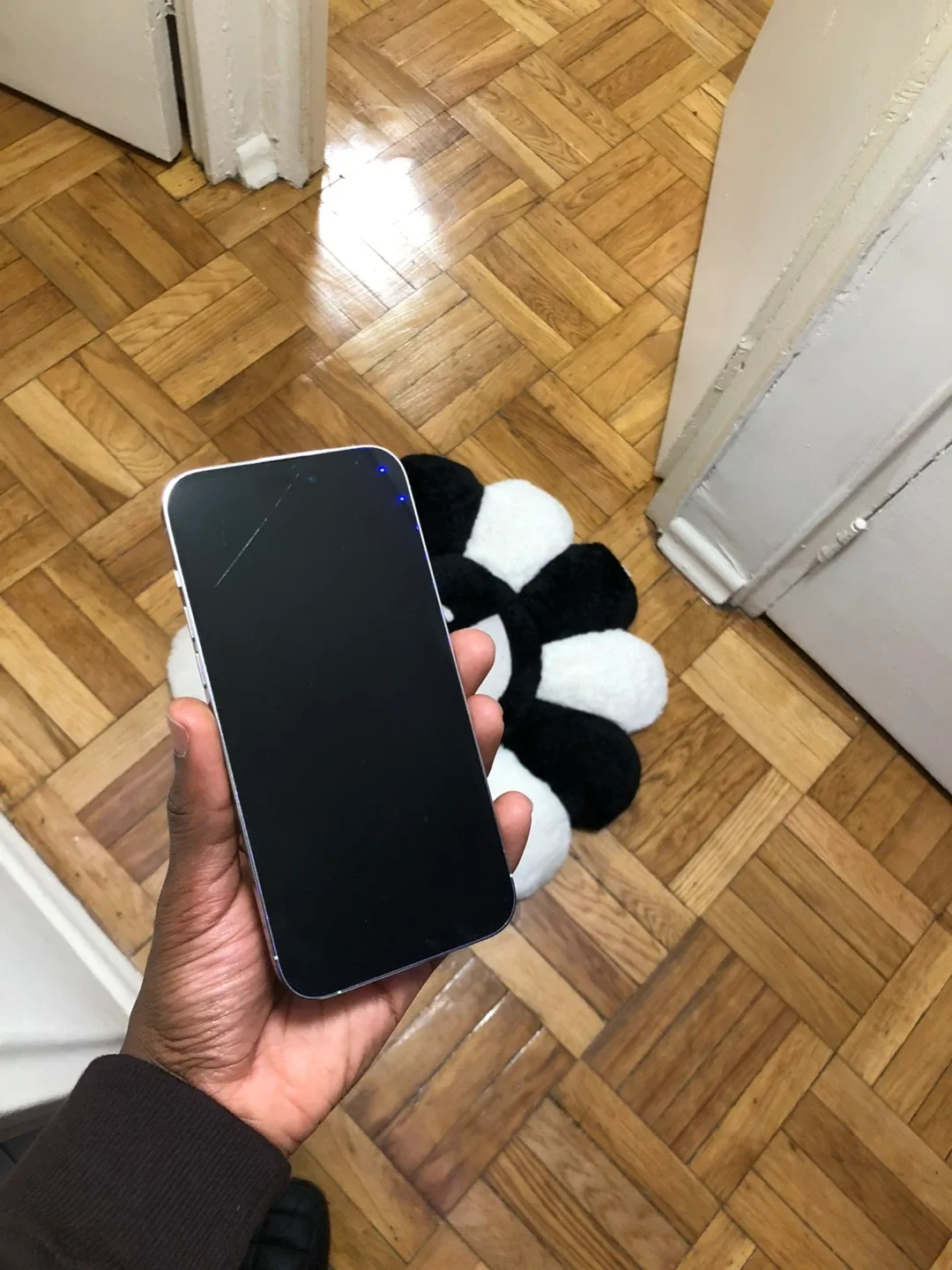 Apple iPhone 14 Pro Max Silver image indicator(2)