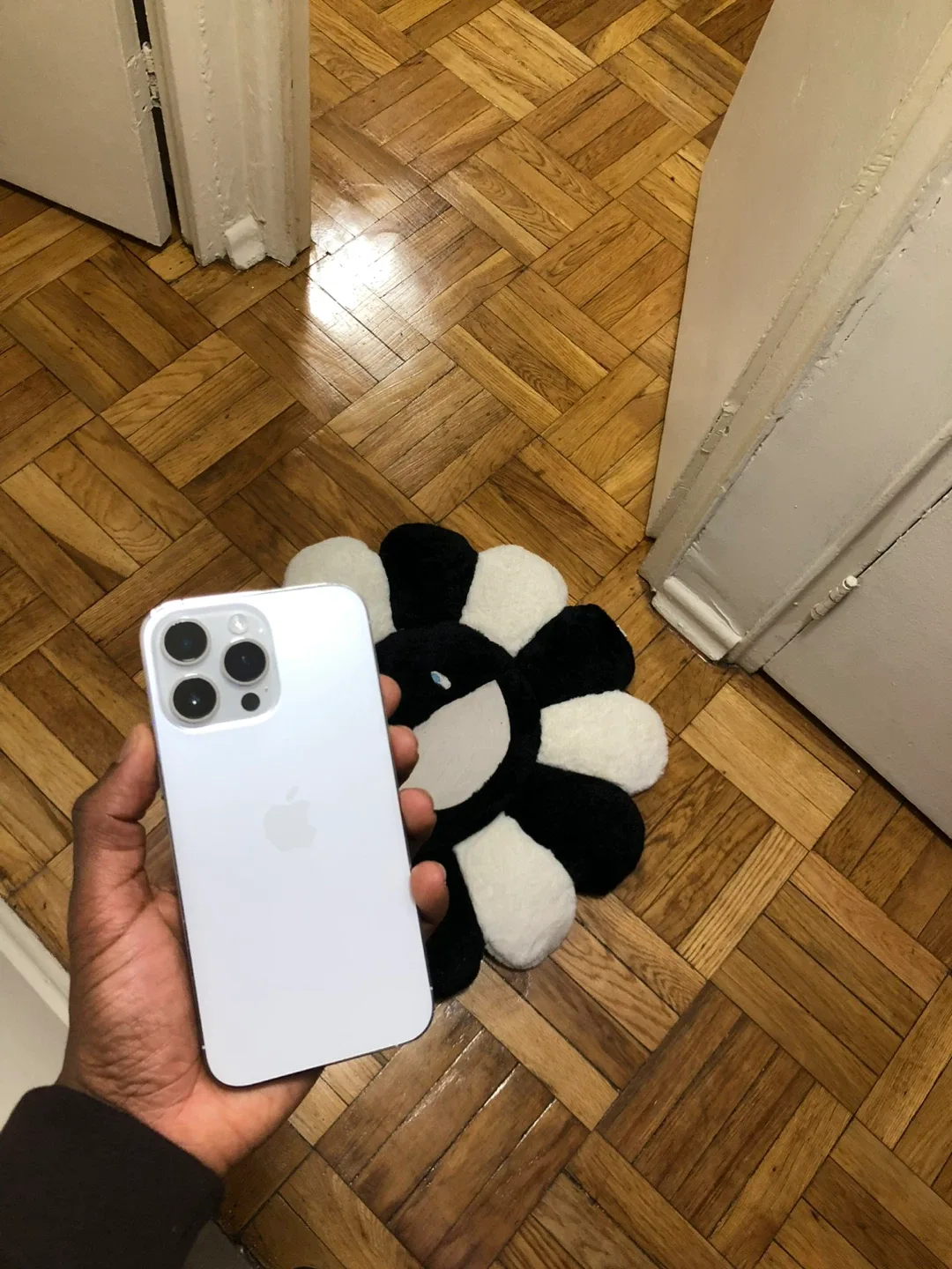 Apple iPhone 14 Pro Max Silver