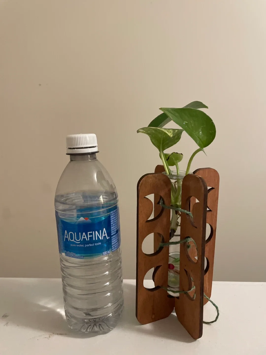 Cute Plant Propagation Stations image indicator(4)