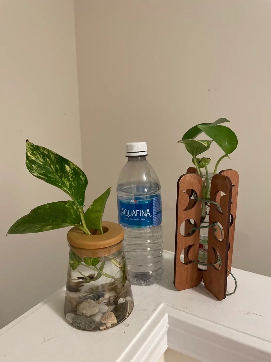 Cute Plant Propagation Stations image indicator(2)