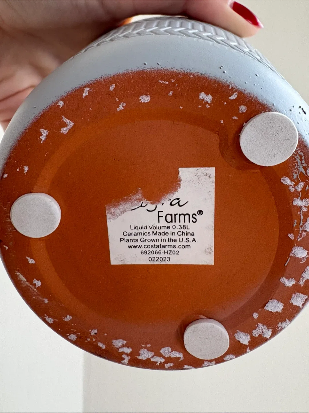 Small Grey Plant Pot image indicator(4)