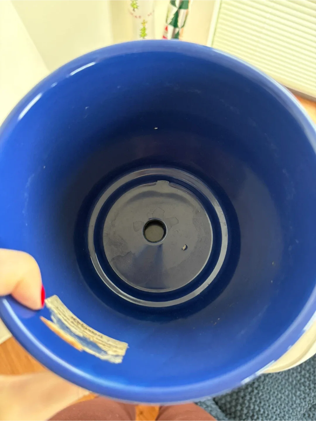 Blue Flower Pot image indicator(2)