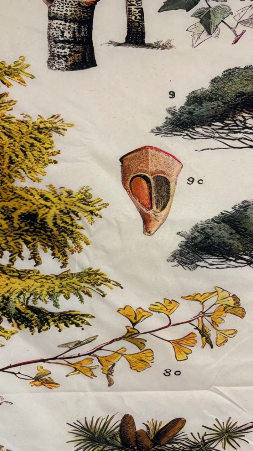 Arboretum Tapestry Wall Hanging - photo 4