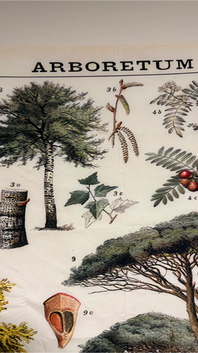 Arboretum Tapestry Wall Hanging - photo 5