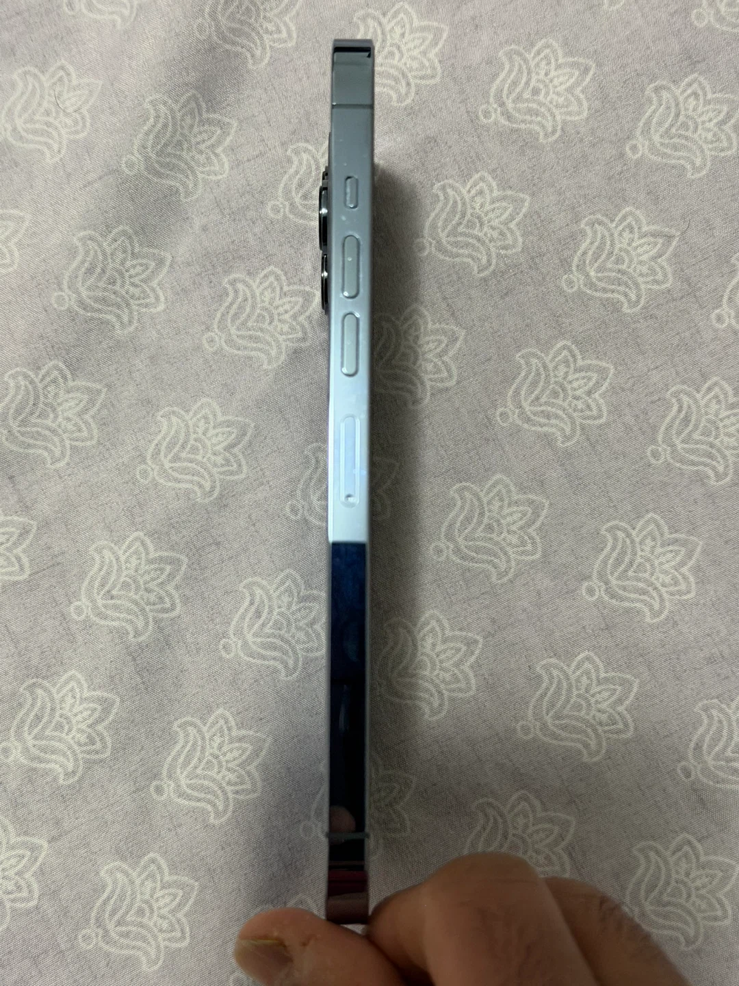 Apple iPhone 13 Pro Max - Sierra Blue - photo 5