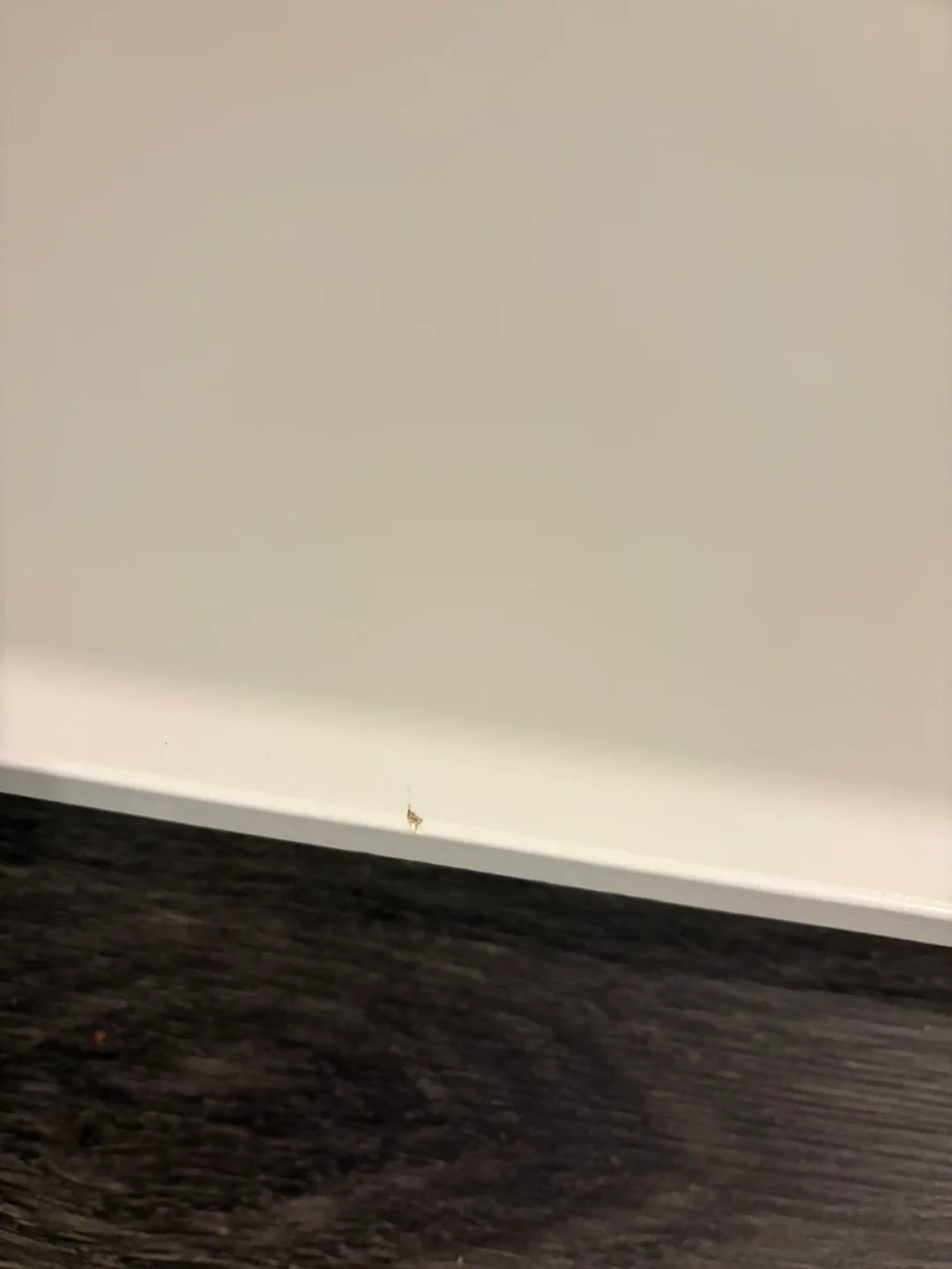 IKEA Billy Bookcase - White image indicator(4)