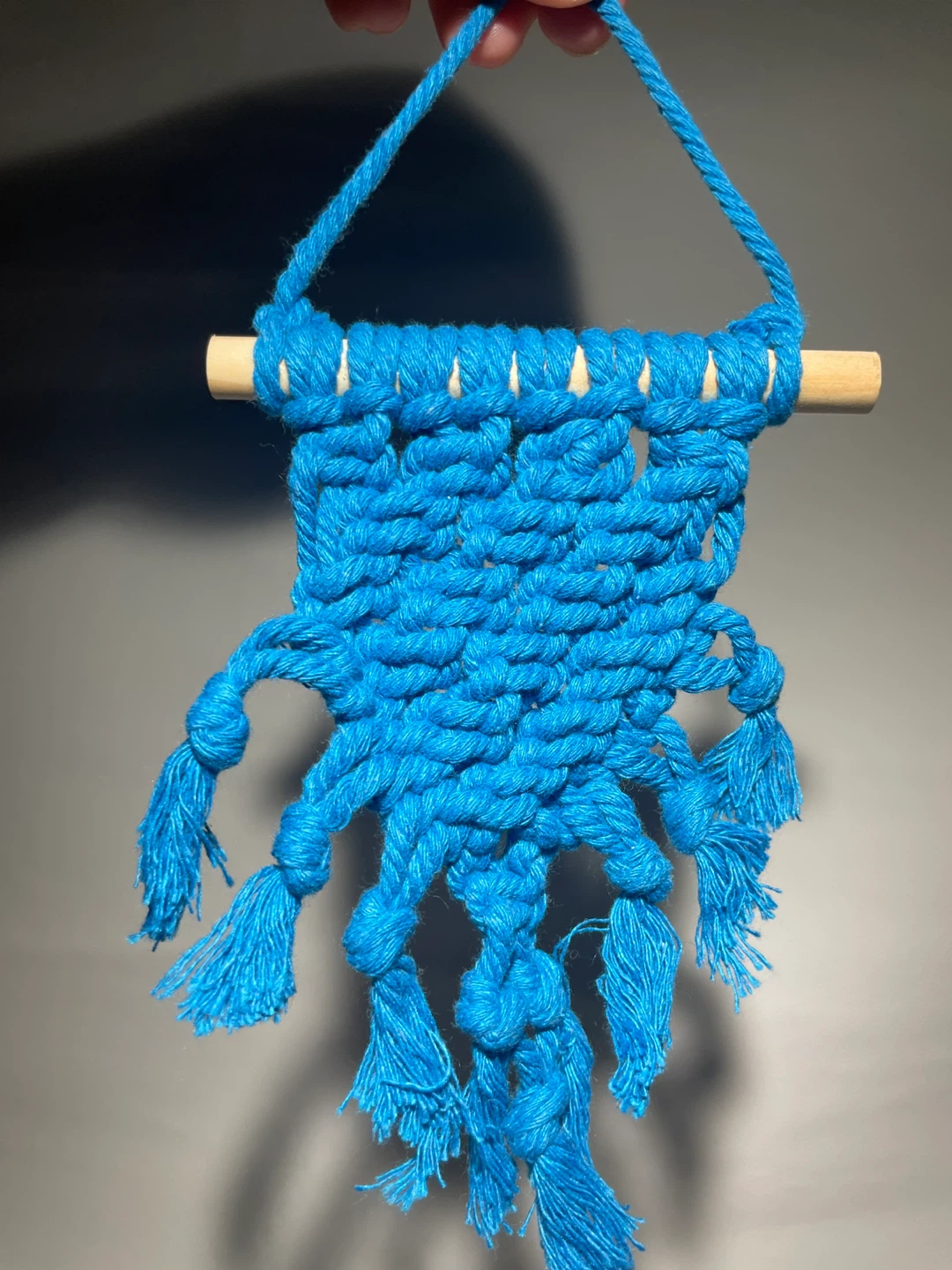Mini Macrame Wall Hanging