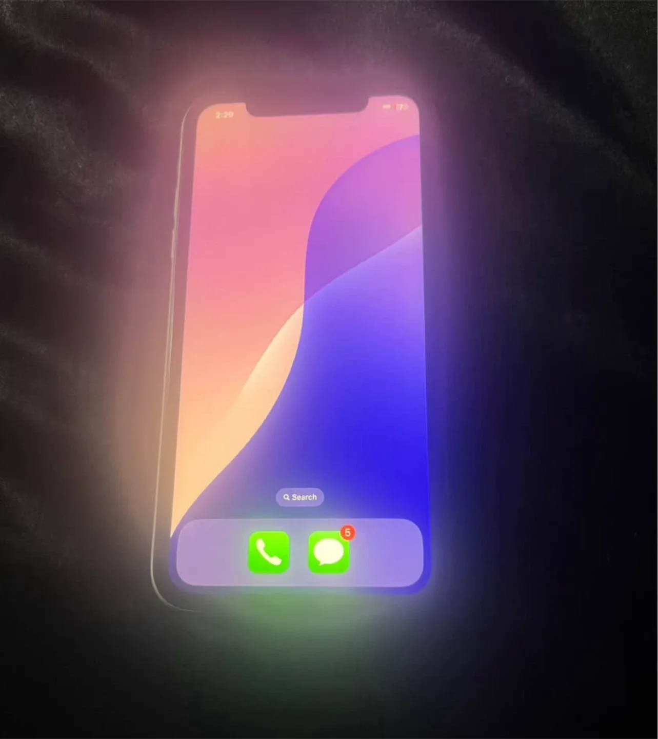 Apple iPhone 11 - White image indicator(3)