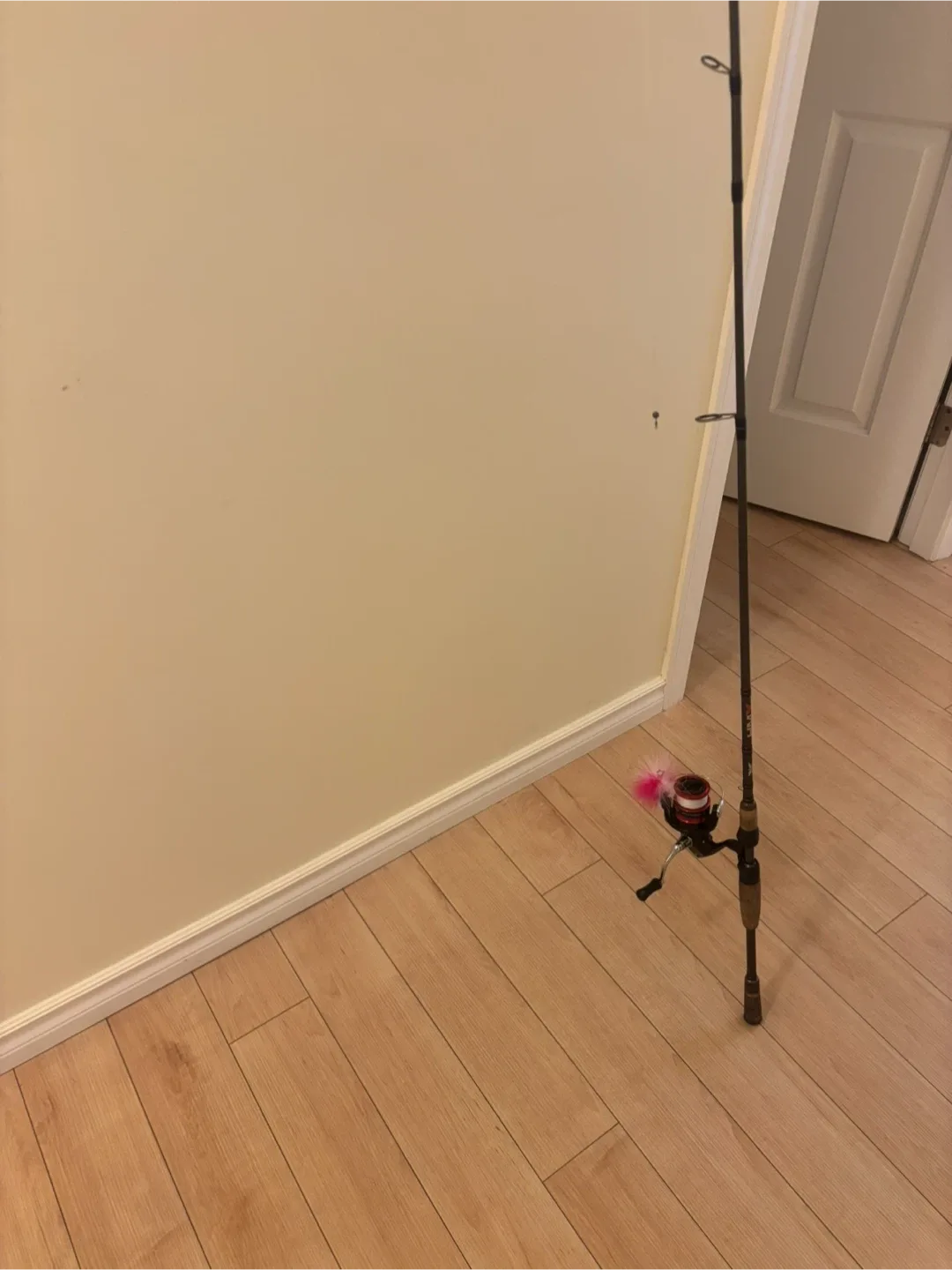 Fenwick HMX rod & Sienna reel  & Abu  Specialist Reel and rod