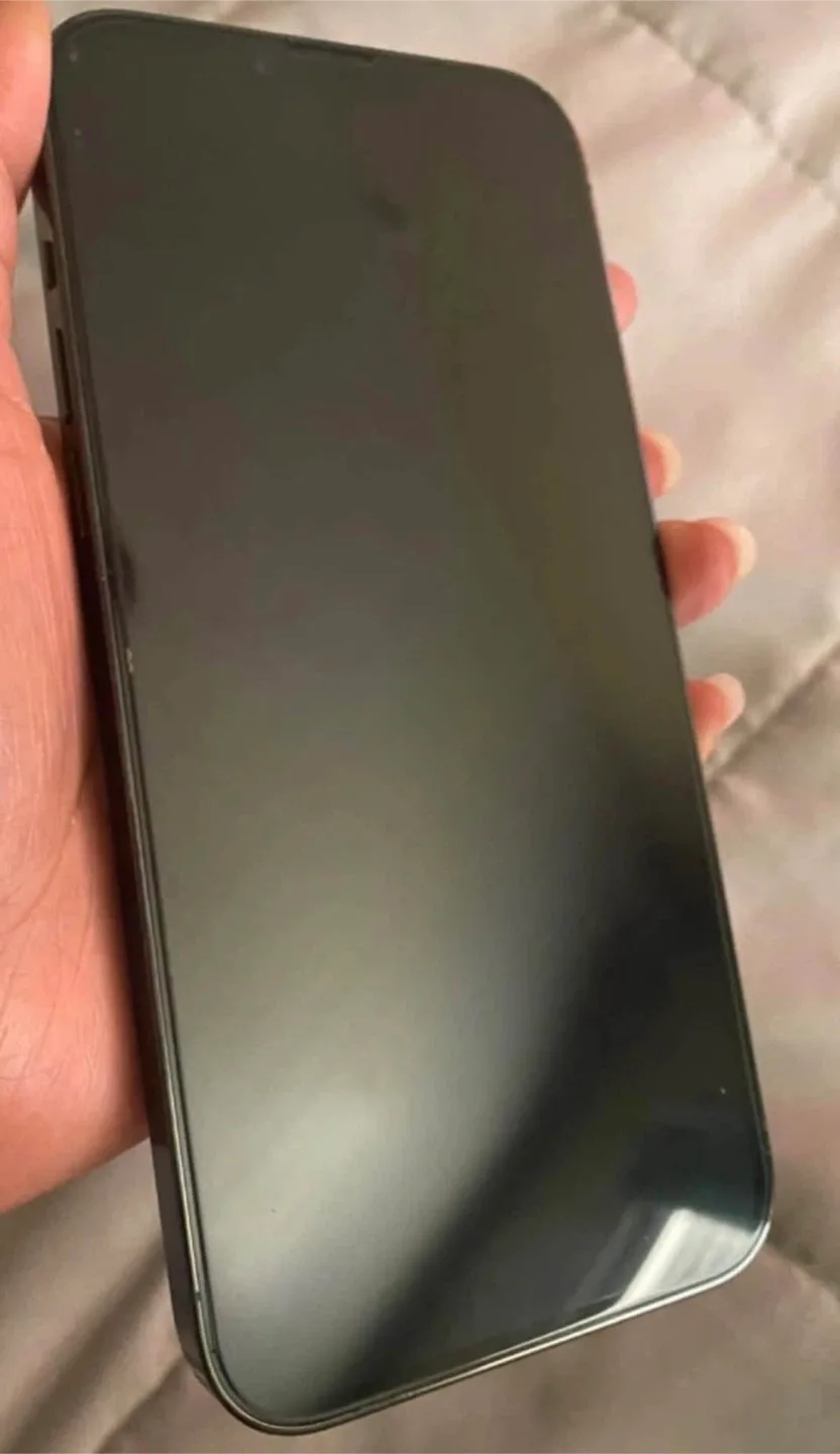 iPhone 13 Pro Max - Light Blue. Including a case image indicator(2)