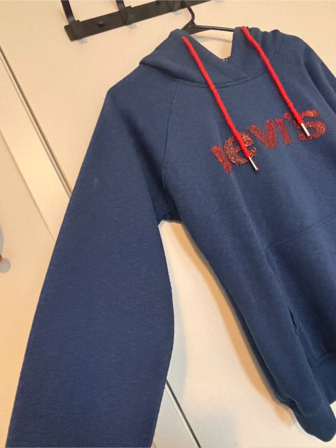 Levi's Blue Hoodie image indicator(2)