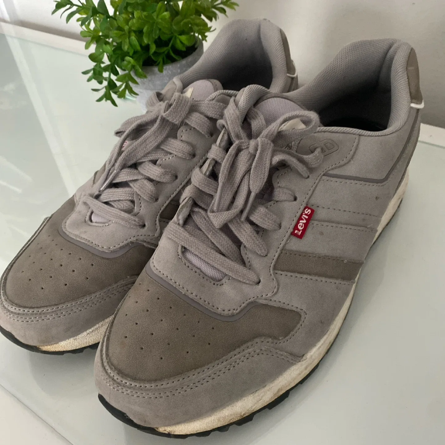 Levi's Gray Sneakers