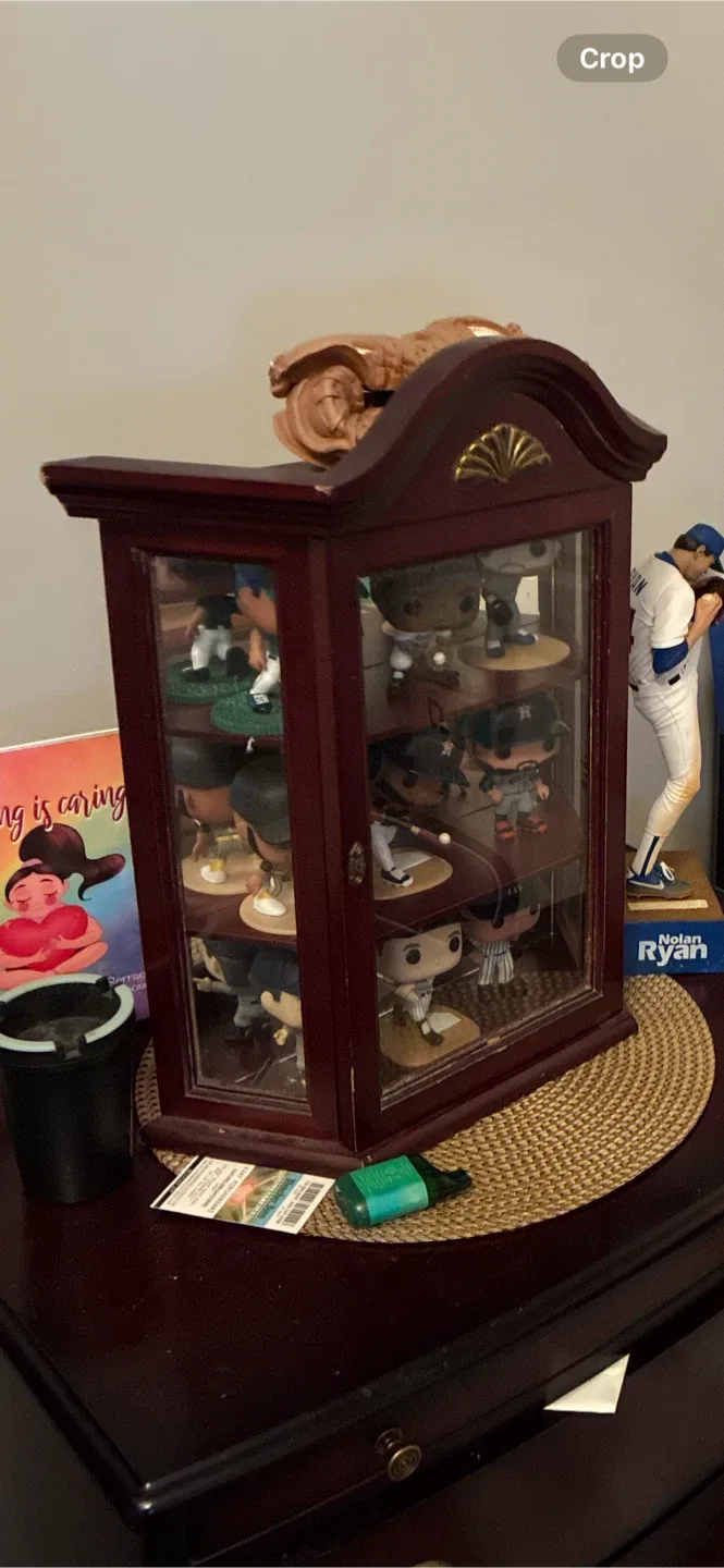 Display Cabinet - Dark Wood