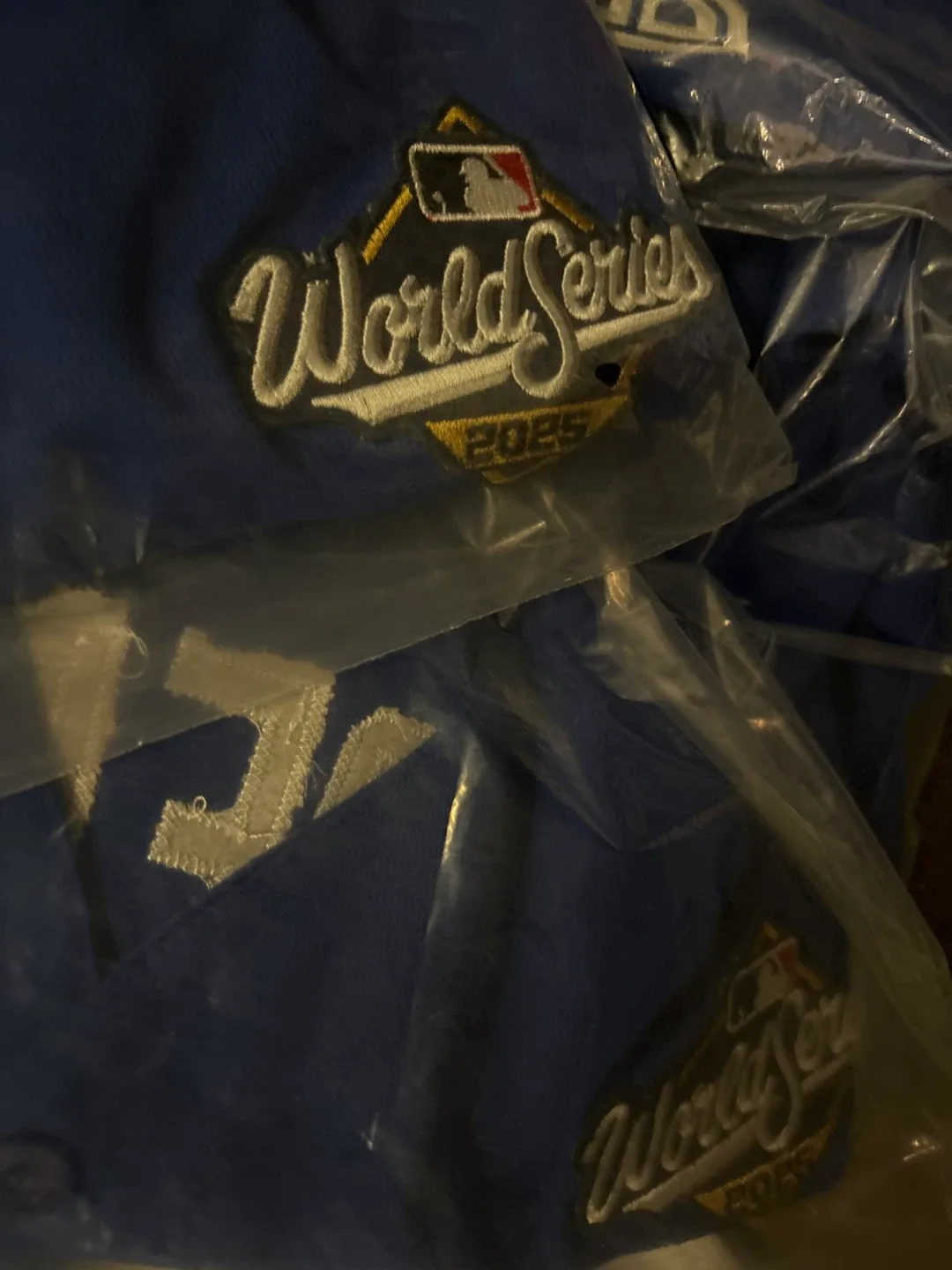 Vladdy Guerrero Jr. City Connect World Series Jersey- New w/tags image indicator(7)