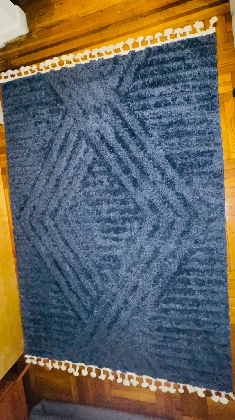 Manhattan West Navy Area Rug( Moving Out) image indicator(5)