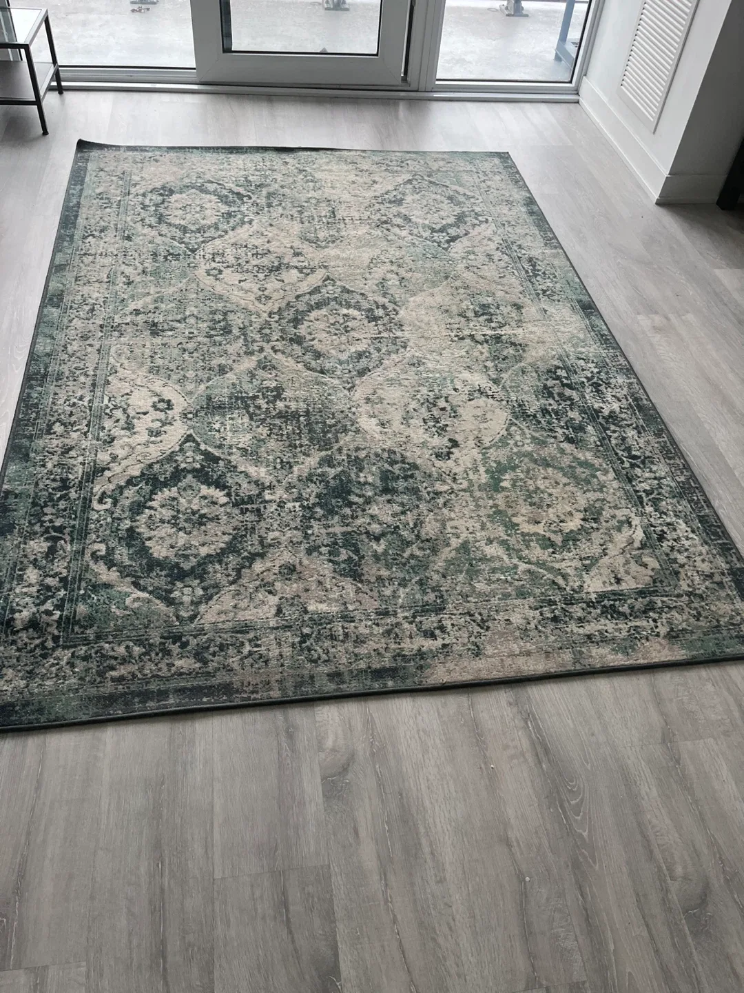 Area Rug - Green/Beige Patterned