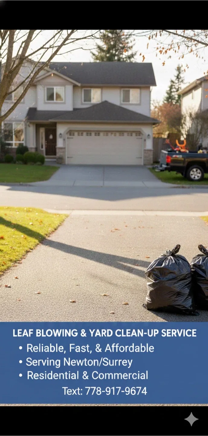Yard and driveway simple cleanup