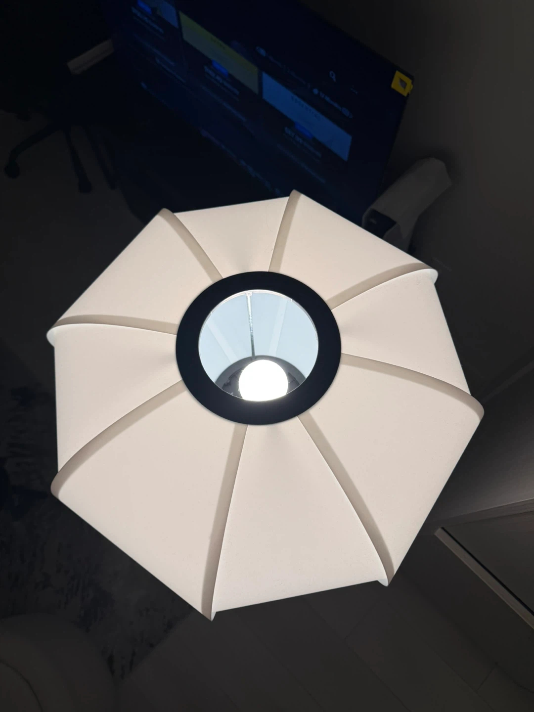 IKEA HOLMÖ Floor Lamp - photo 4