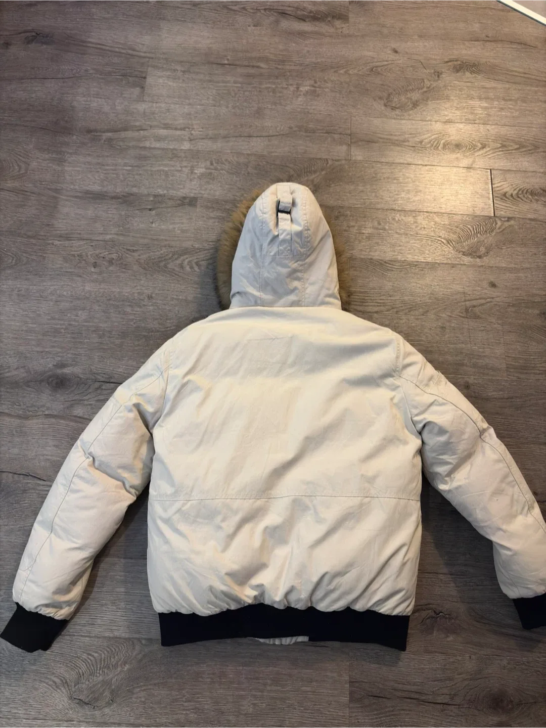 Winter jacket image indicator(4)