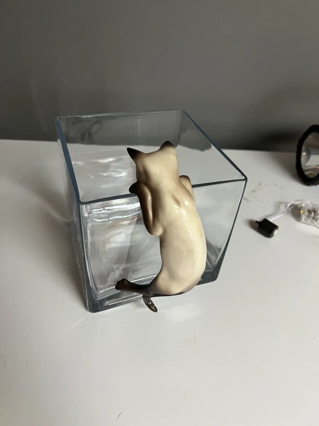 Fish bowl with cat image indicator(4)