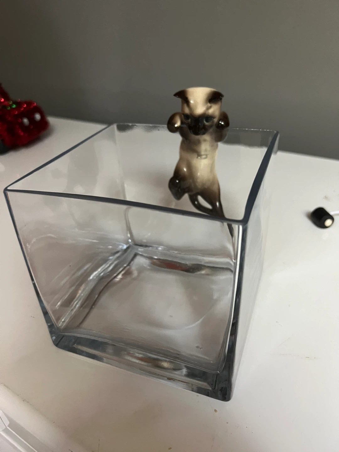 Fish bowl or glass planter