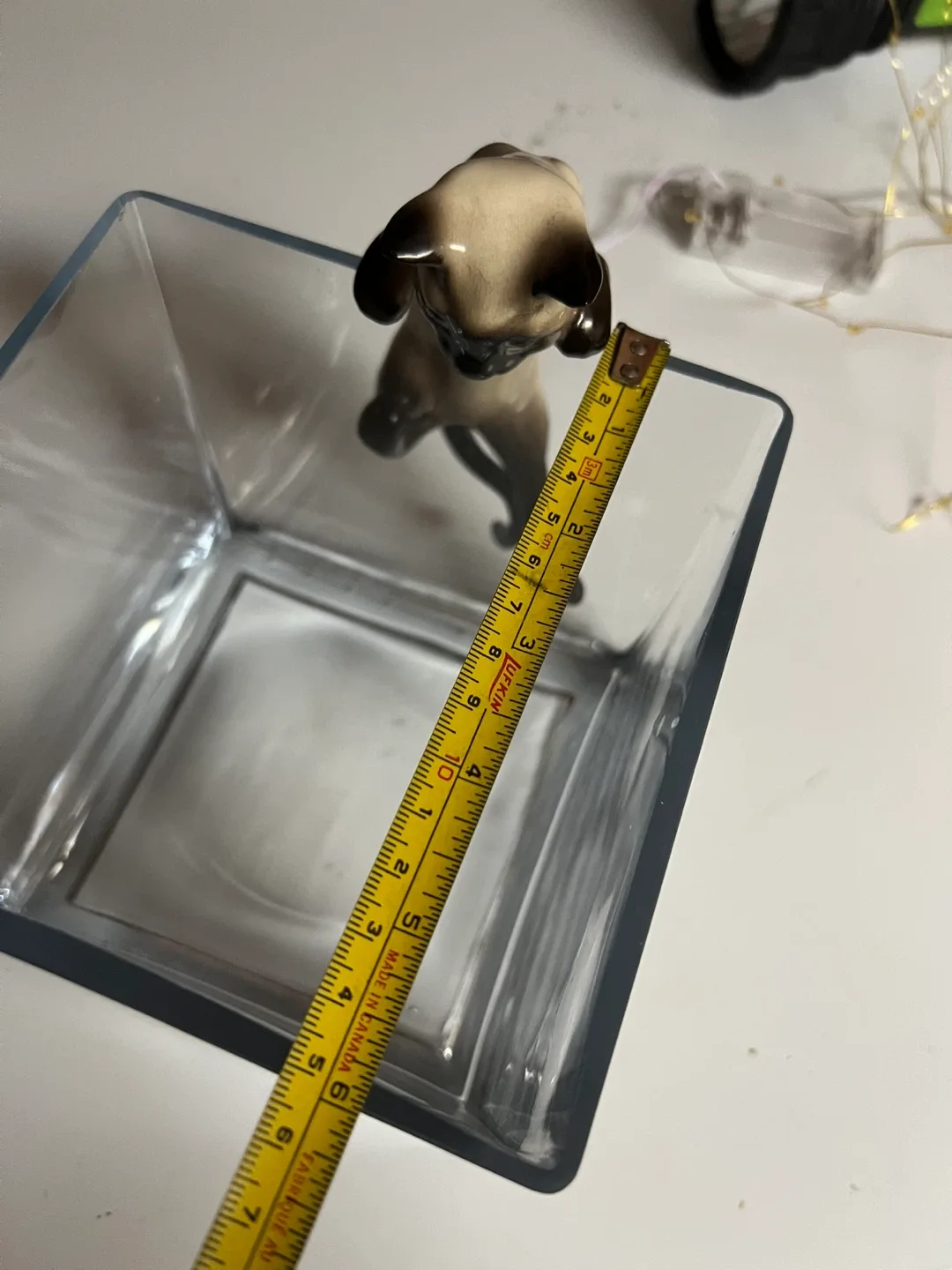 Fish bowl with cat image indicator(3)