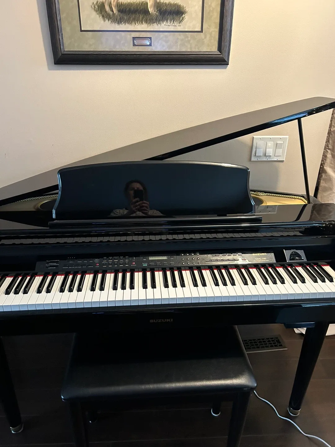 Suzuki MDG 100 micro Digital Grand Piano image indicator(10)