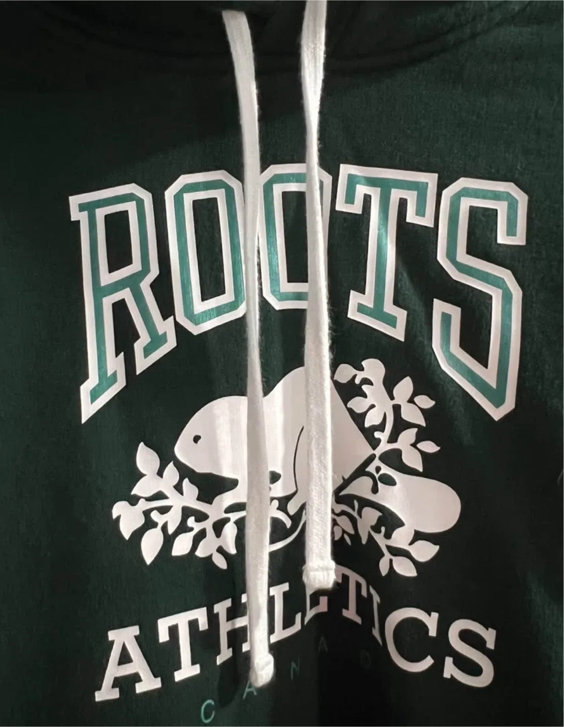 Roots Athletics Canada Green Hoodie image indicator(2)