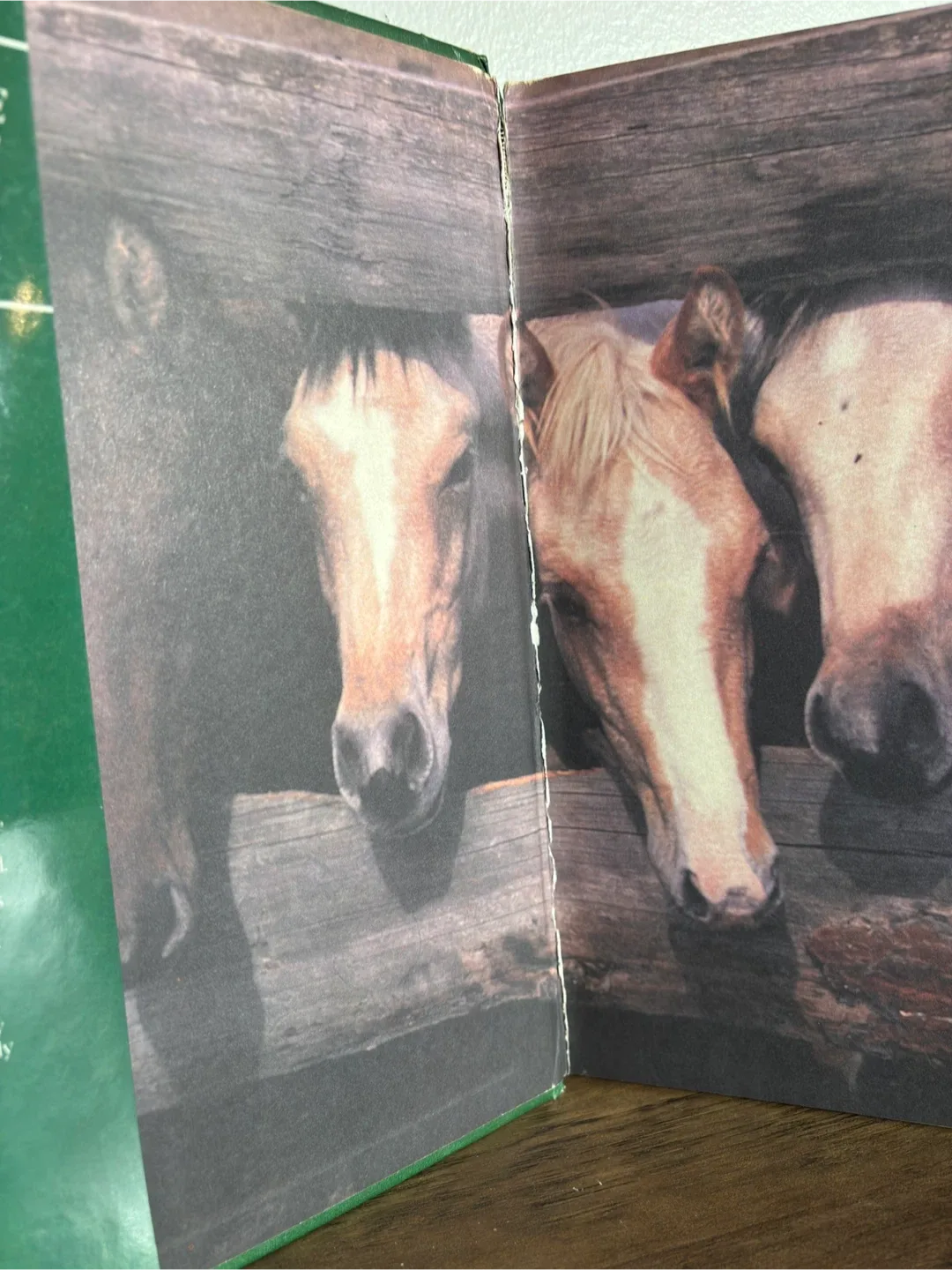 Children’s Educational Book Lot - Quick Sale! image indicator(4)