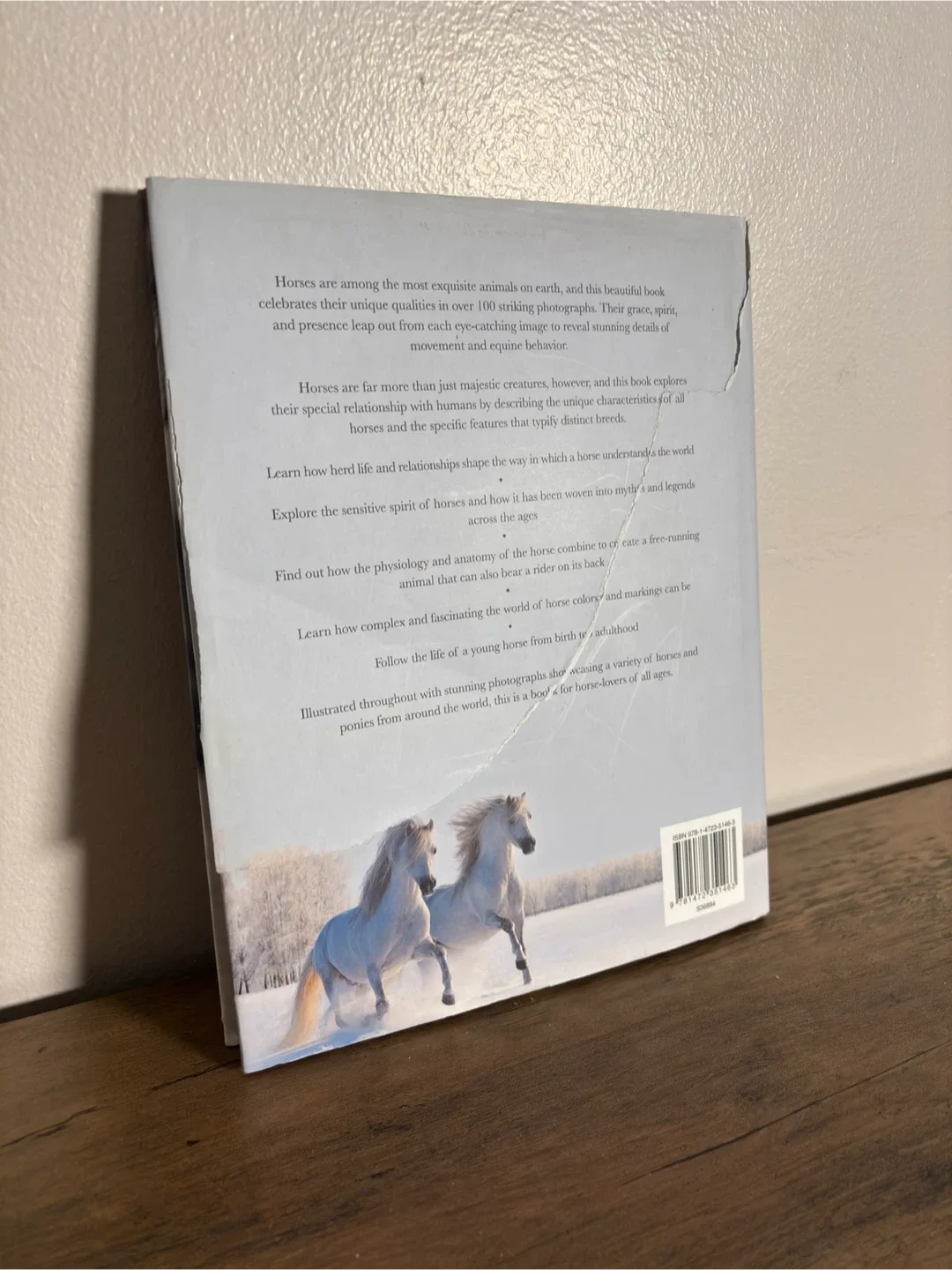 Children’s Educational Book Lot - Quick Sale! image indicator(5)