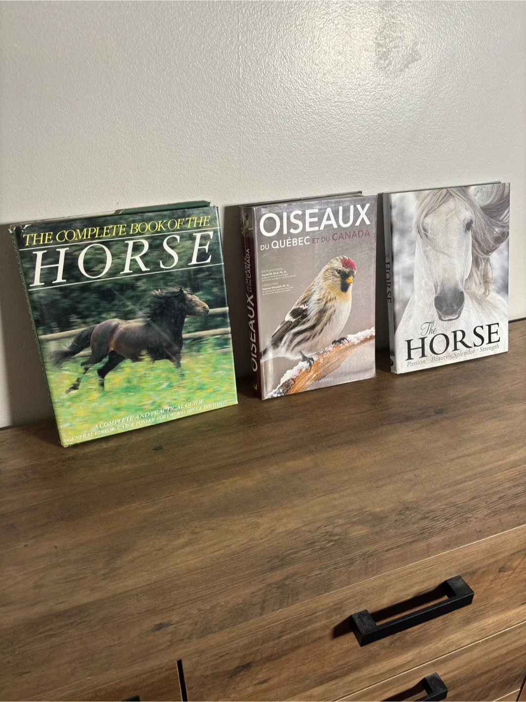 Children’s Educational Book Lot - Quick Sale! image indicator(3)