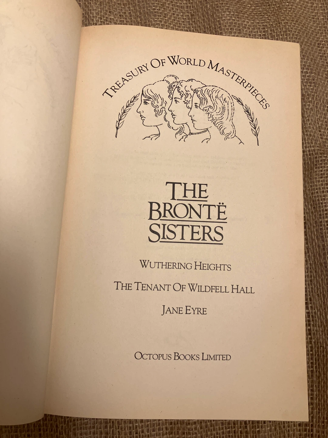 The Brontë Sisters: Treasury of World Masterpieces - photo 4