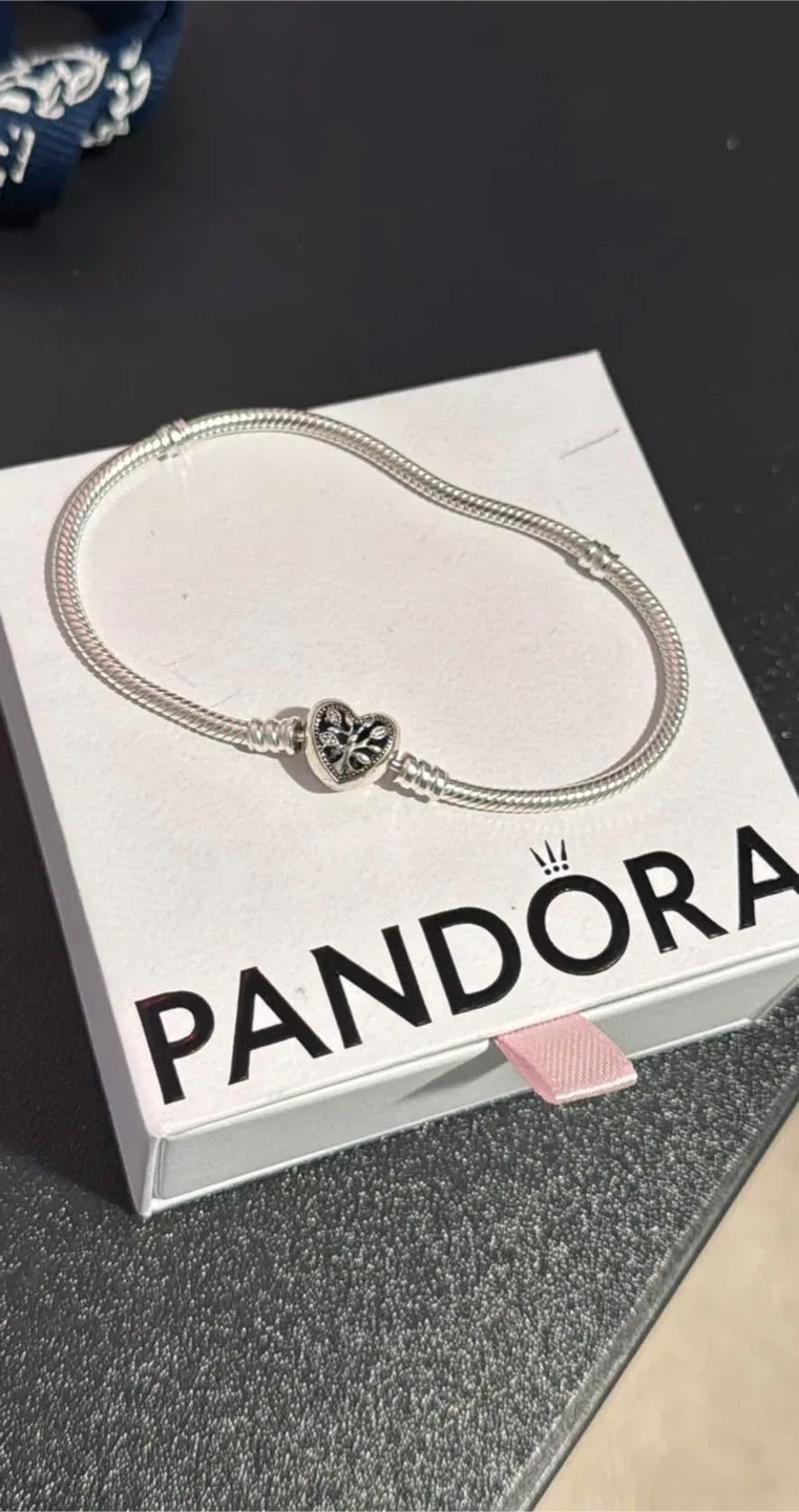 Pandora Charm Bracelet with Box image indicator(2)