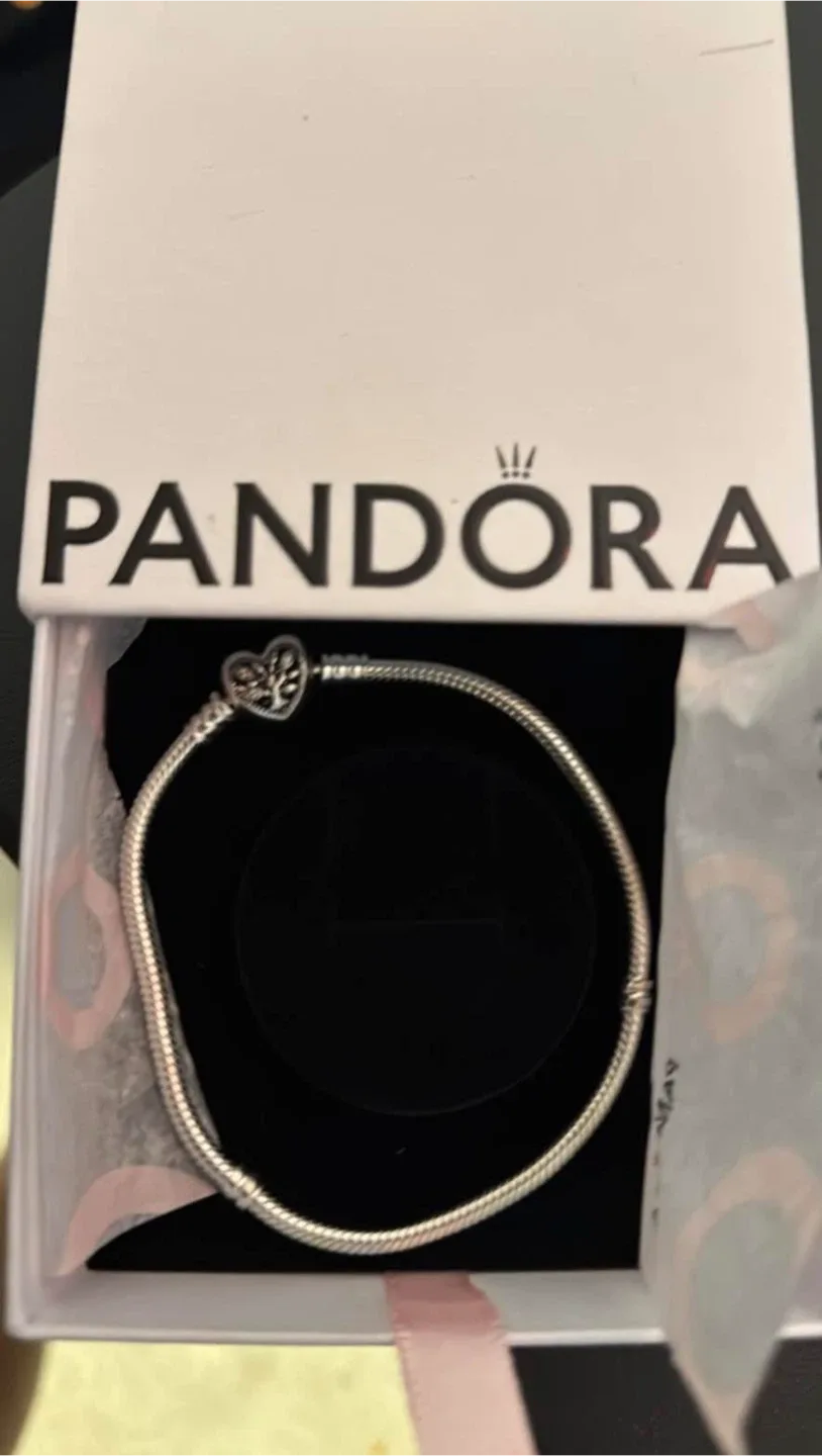 Pandora Charm Bracelet with Box image indicator(3)