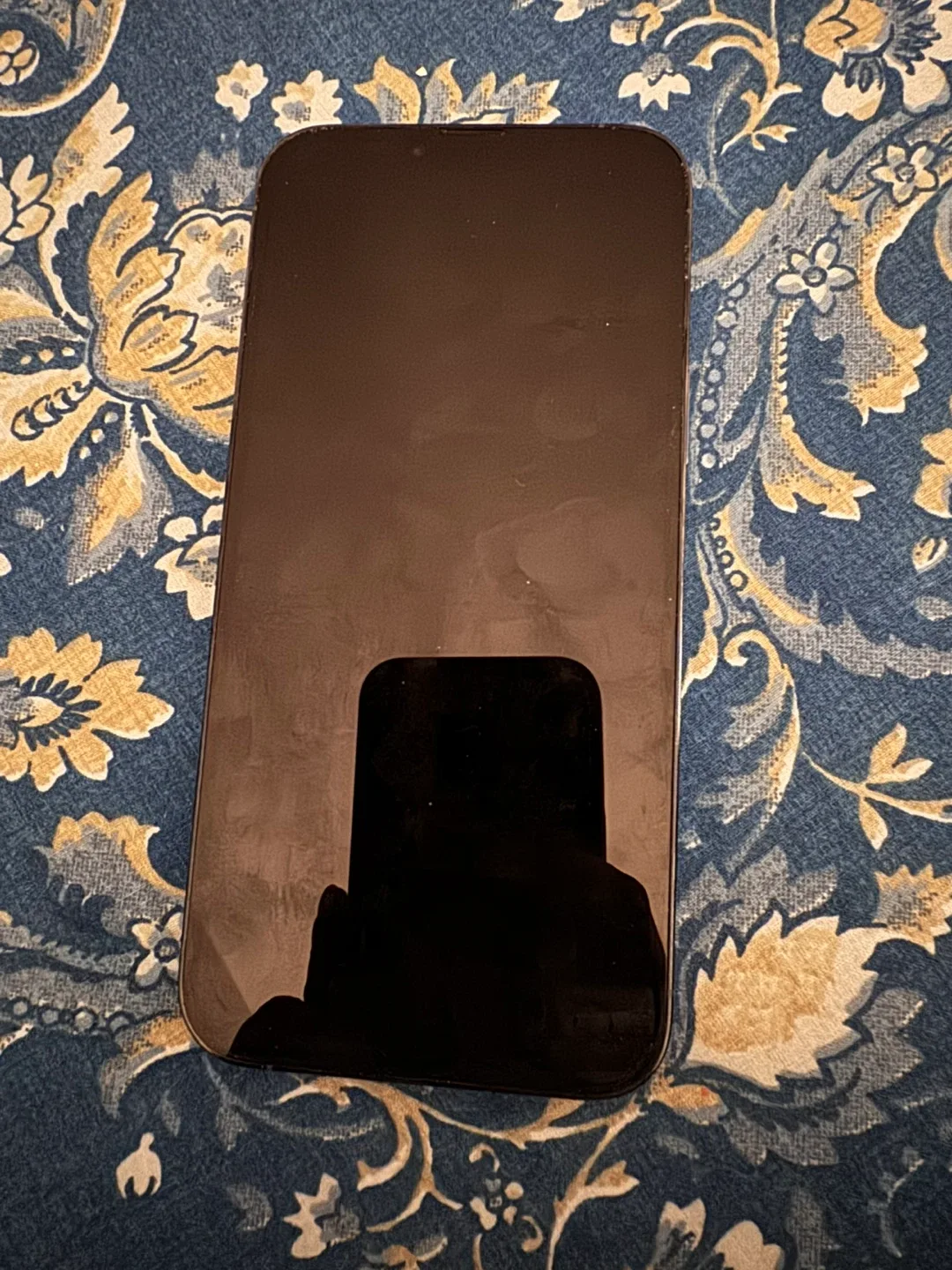 iPhone 13 Pro Sierra Blue image indicator(5)