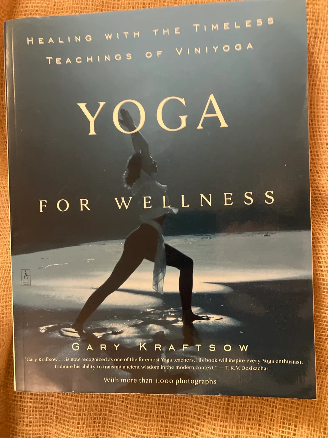 Yoga for Wellness by Gary Kraftsow