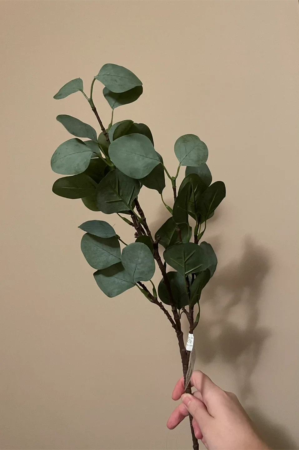 Smycka artificial eucalyptus ikea #cleanout image indicator(2)