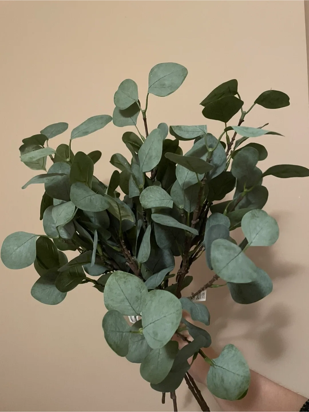 Smycka artificial eucalyptus ikea #cleanout