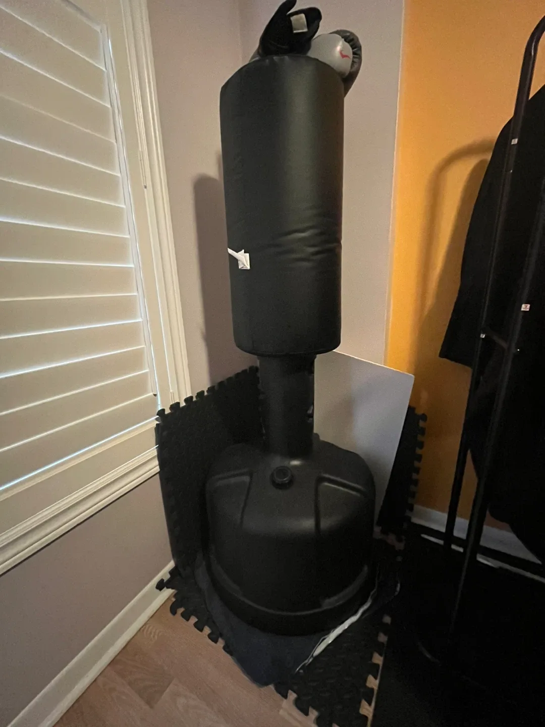 Punching Bag + Gloves