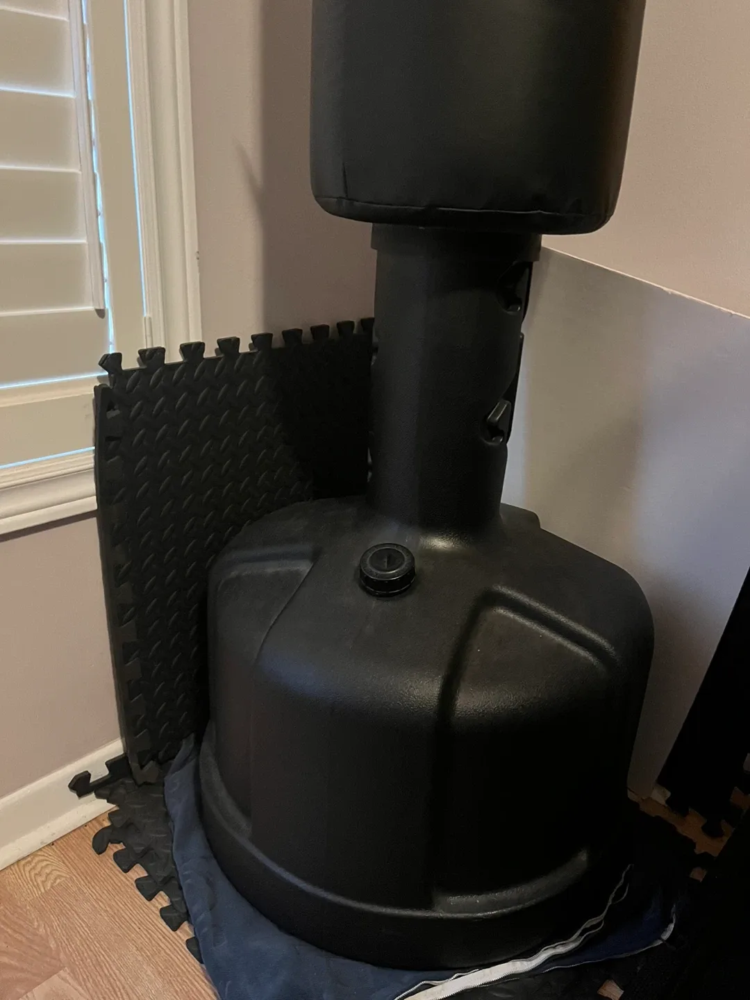 Punching Bag + Gloves image indicator(3)