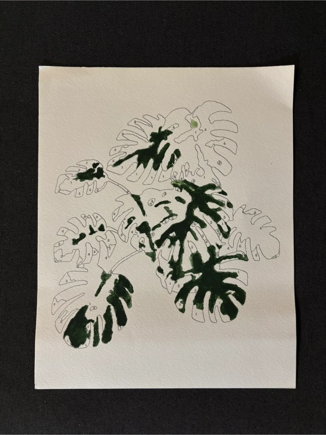 Paint-By-Number Tropical Plants #Cleanout image indicator(2)