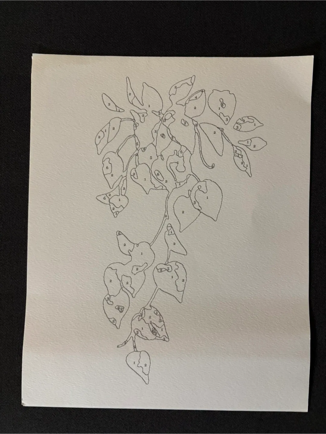 Paint-By-Number Tropical Plants #Cleanout image indicator(3)