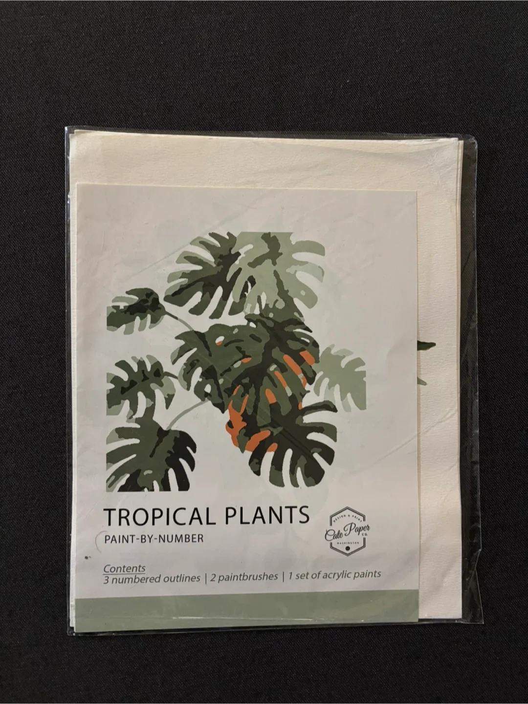 Paint-By-Number Tropical Plants #Cleanout