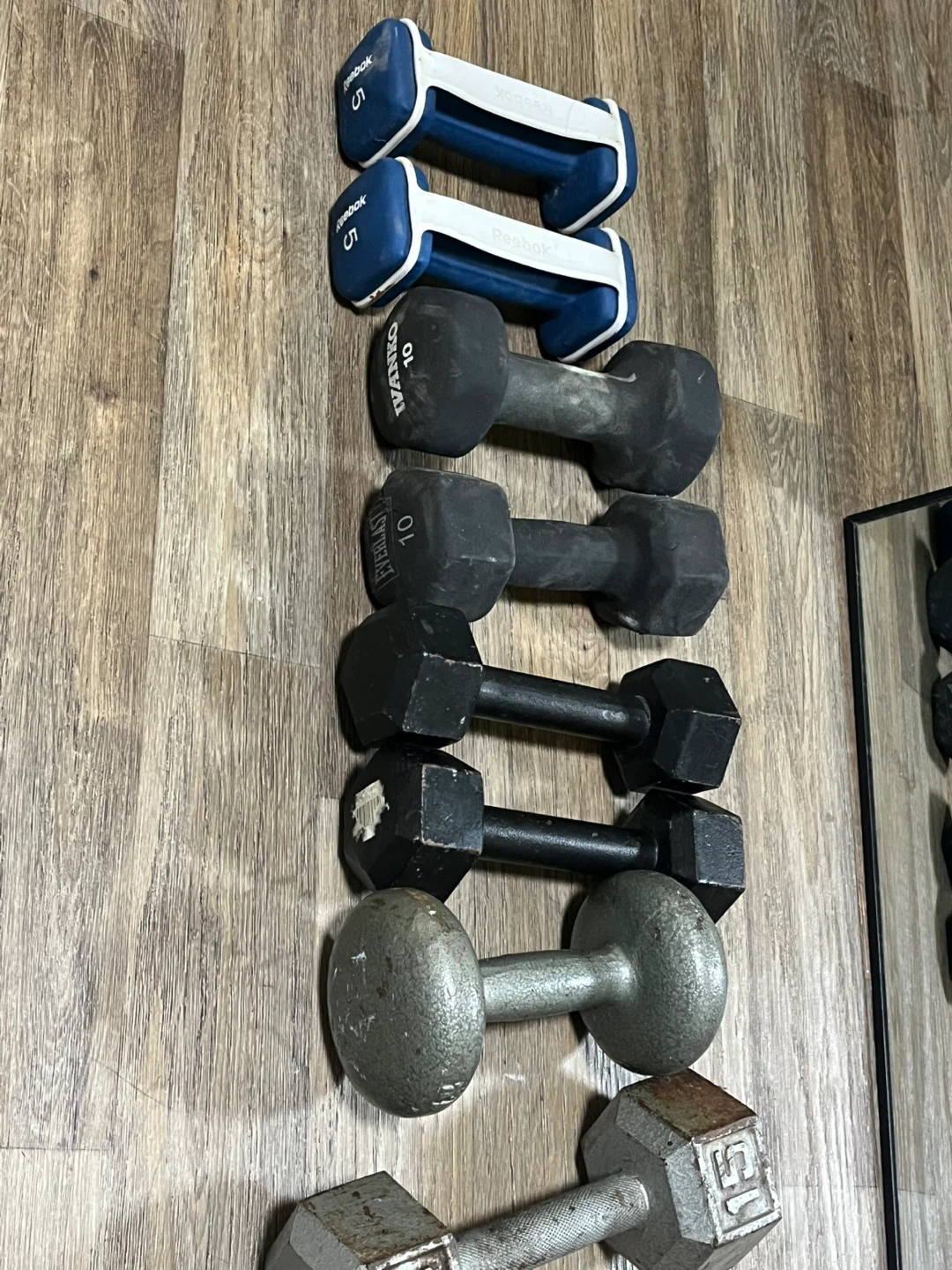 Reebok 5 lb Dumbbells + Assorted Weights