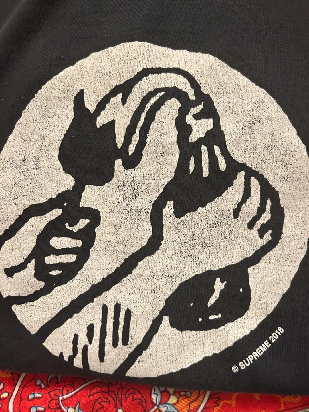 SUPREME MOLOTOV TEE image indicator(3)