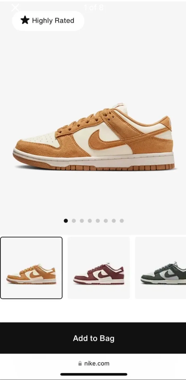 Brand New Nike Dunk Low Shoes